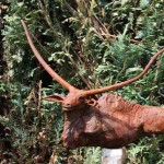 Rencontre avec Paul Beckers : LONGHORN